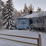 Traditional Finnish Lapland House At Wild Forest Backyard! *