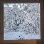 Traditional Finnish Lapland House At Wild Forest Backyard!