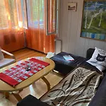 Traditional Finnish Lapland House At Wild Forest Backyard!