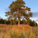 度假居 Traditional Finnish Lapland House At Wild Forest Backyard!
