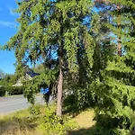 度假居 Traditional Finnish Lapland House At Wild Forest Backyard! 凯米
