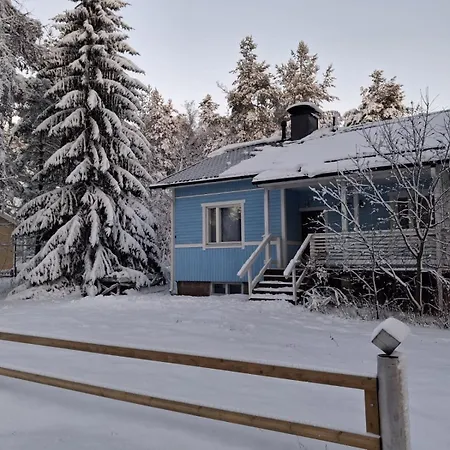 Traditional Finnish Lapland House At Wild Forest Backyard! *