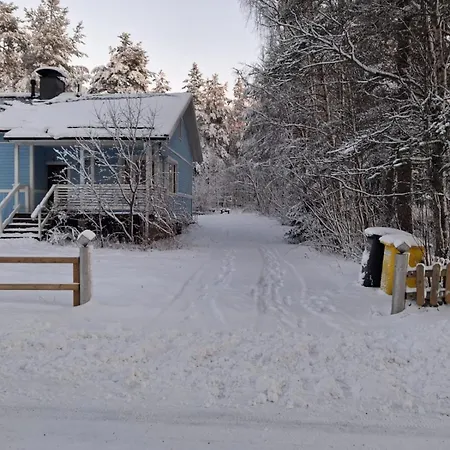 Traditional Finnish Lapland House At Wild Forest Backyard! Kemi