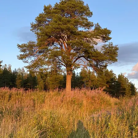 Holiday home Traditional Finnish Lapland House At Wild Forest Backyard!