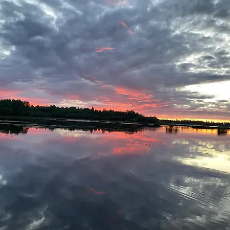 Traditional Finnish Lapland House At Wild Forest Backyard!