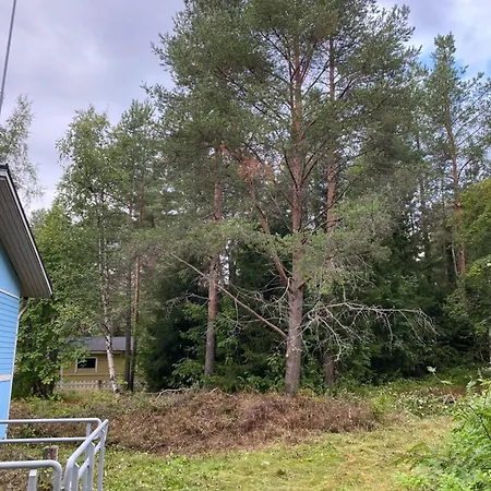 Traditional Finnish Lapland House At Wild Forest Backyard! *