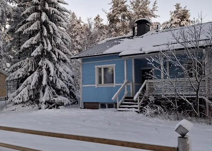 Traditional Finnish Lapland House At Wild Forest Backyard! *