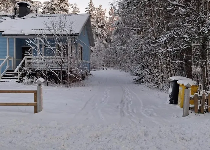Traditional Finnish Lapland House At Wild Forest Backyard! Kemi
