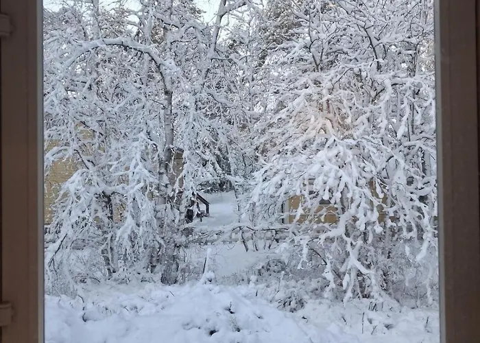 Holiday home Traditional Finnish Lapland House At Wild Forest Backyard! *