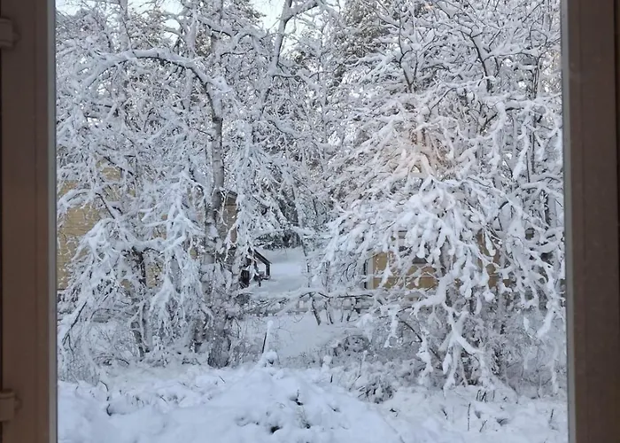 Traditional Finnish Lapland House At Wild Forest Backyard!