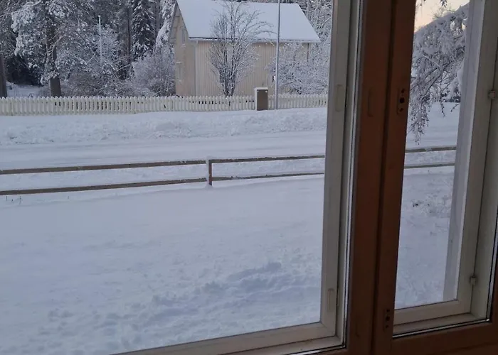 Traditional Finnish Lapland House At Wild Forest Backyard! Kemi
