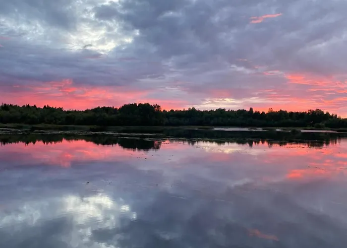 Traditional Finnish Lapland House At Wild Forest Backyard! Kemi