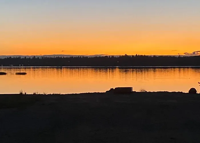 Traditional Finnish Lapland House At Wild Forest Backyard! Kemi