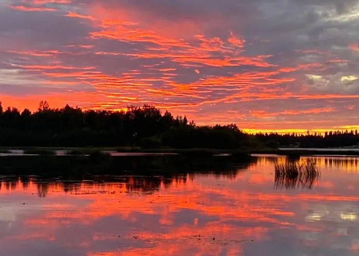 Vakantiehuis Traditional Finnish Lapland House At Wild Forest Backyard! *