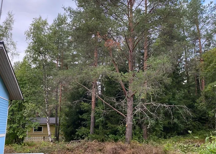 Traditional Finnish Lapland House At Wild Forest Backyard! *