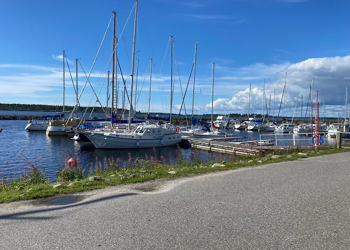 Traditional Finnish Lapland House At Wild Forest Backyard!