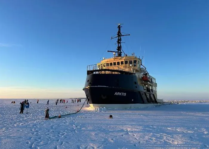 Traditional Finnish Lapland House At Wild Forest Backyard! *